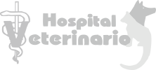 Hospital Veterinario